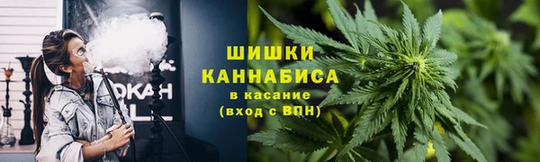 прущие крисы Тайга