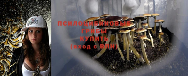 прущие крисы Тайга