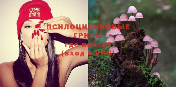 прущие крисы Тайга